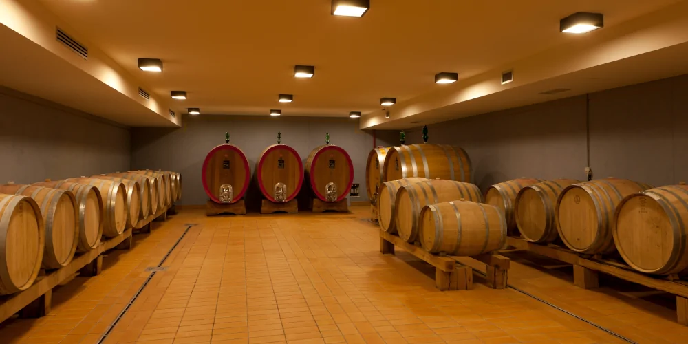 Oak barrels in wine ageing room in the Castello di Radda winery, Radda, Chianti Classico