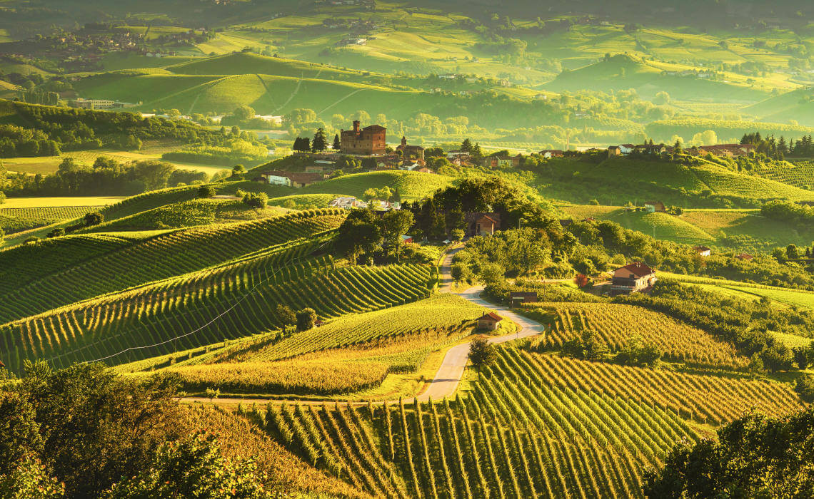 Wine-tasting guide to the land of Barolo, Arneis and Moscato