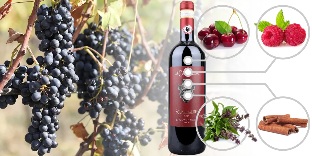 Buy award-winning Chianti Classico wine online, enjoy free day delivery